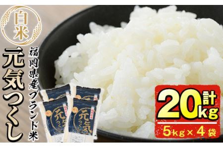 ＜令和7年産＞福岡県産ブランド米「元気つくし」白米(計20kg・5kg×4袋)お米 20キロ ごはん ご飯 【ksg0380】【朝ごはん本舗】