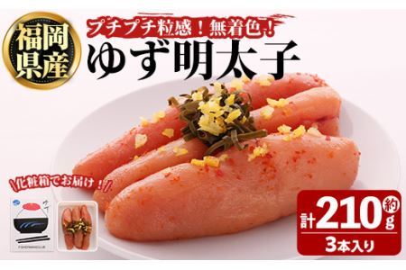 プチプチ粒感！無着色 ゆず明太子3本入り(計約210g)明太子 魚介 海鮮 魚卵 柚子 ゆず＜離島配送不可＞【ksg1240】【フィッシャーマンズクラブ】