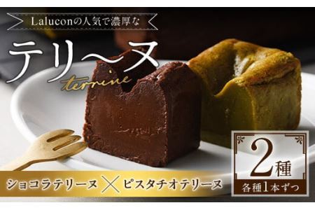 イタリア産ピスタチオを使ったテリーヌとショコラテリーヌ(合計2本)スイーツ お菓子 お土産 デザート 焼き菓子 ギフト おつまみ ショコラ ピスタチオ バレンタイン チョコ チョコケーキ ケーキ 数量限定＜離島配送不可＞【ksg1202】【ラルコン】