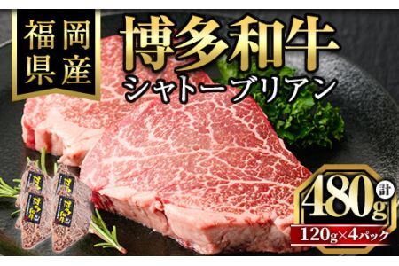 博多和牛シャトーブリアン(120g×4枚・計480g)牛肉 和牛 博多和牛 国産 ステーキ シャトーブリアン＜離島配送不可＞【ksg1285】【くしだ企画】