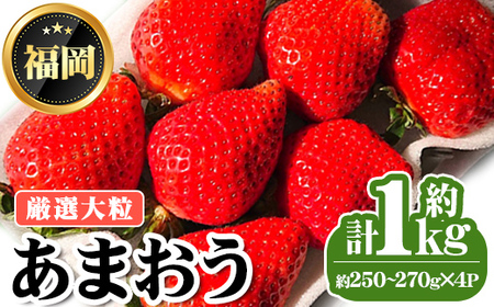 ＜先行予約受付中・数量限定＞2027年2月上旬から順次お届け！厳選大粒あまおう(計約1kg・約250～270g×4P) 苺 いちご イチゴ フルーツ 果物 くだもの 手作り スイーツ ＜離島配送不可＞【ksg1249】【THE FARM_strawberry】
