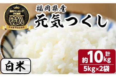 ＜数量限定＞令和7年産 福岡県産 白米 元気つくし(計10kg・5kg×2袋) お米 こめ コメ 精米 ブランド米 10キロ ごはん ご飯 常温 常温保存【ksg1330-A】【おどろきっちん】