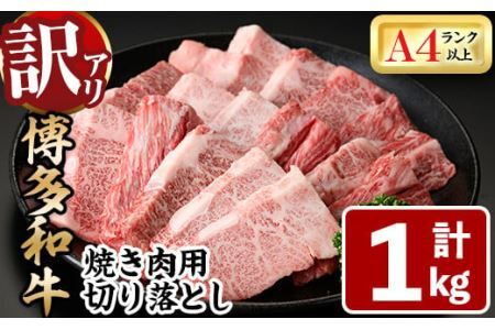 ＜訳あり・不揃い＞博多和牛焼肉切り落とし(肩ロース・バラ)(計1kg) 牛肉 黒毛和牛 国産 BBQ 化粧箱 贈答 ギフト プレゼント ＜離島配送不可＞【ksg1406】【MEATPLUS】