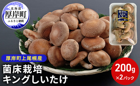 北海道産 厚岸町 上尾幌 菌床栽培 キングしいたけ 2パック 