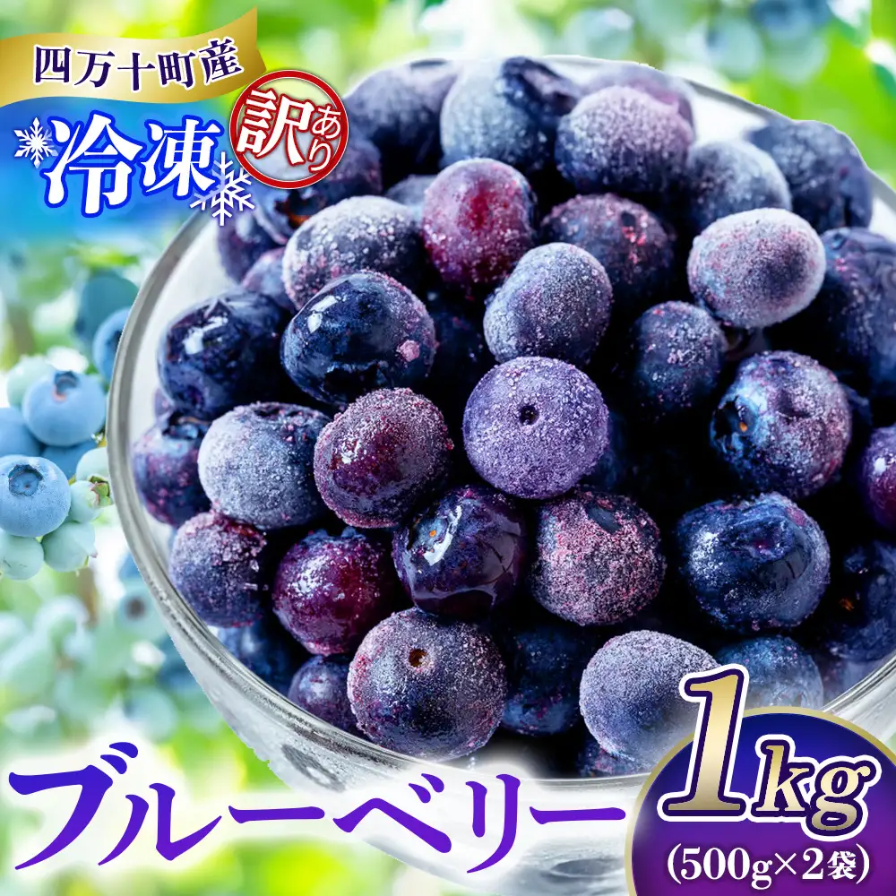 【訳アリ・大容量】シャーベット感覚！四万十町産【冷凍】ブルーベリー1kg／Cvs-11 冷凍ブルーベリー 国産