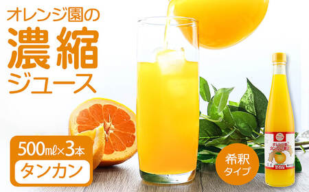 オレンジ園の濃縮ジュース タンカン 500ml 3本 希釈用 【R01118】