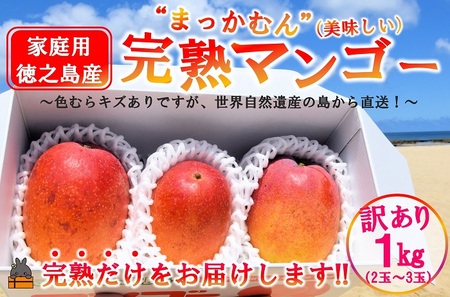 ≪先行予約≫訳あり！【家庭用】徳之島産完熟マンゴー1kg（2～3玉）フルーツ わけあり 訳あり 果物