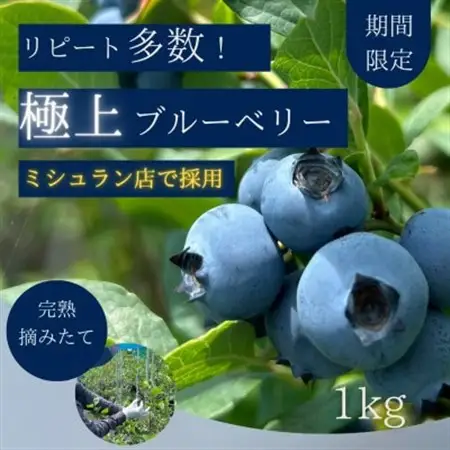 【極上】完熟 生ブルーベリー1kg_果物・フルーツ ブルーベリー  _【配送不可地域：離島】【1519661】
