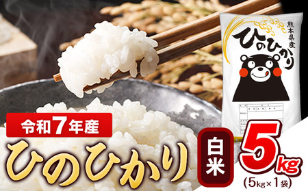 令和7年産 白米 ひのひかり 5kg《7-14日以内に出荷予定(土日祝除く)》コメ 米 白米  高レビュー｜人気米 熊本県産米 お米 生活応援米