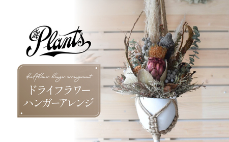 ドライフラワー の ハンガー アレンジ おしゃれ ギフト インテリア 花 