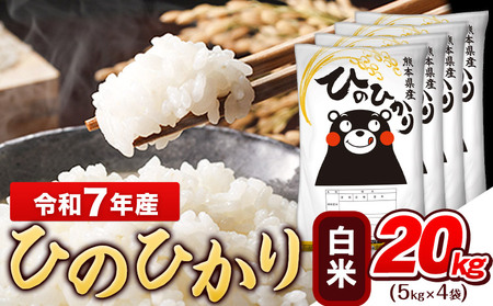  令和7年産 白米 ひのひかり 20kg《7-14日以内に出荷予定(土日祝除く)》令和7年産 熊本県産｜人気米 熊本県産米 お米 生活応援米