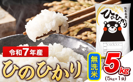  令和7年産 無洗米 ひのひかり 5kg《7-14日以内に出荷予定(土日祝除く)》 熊本県産｜人気米 熊本県産米 お米 生活応援米