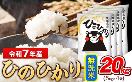 令和7年産 無洗米 ひのひかり 20kg《7-14日以内に出荷予定(土日祝除く)》令和7年産 熊本県産｜人気米 熊本県産米 お米 生活応援米