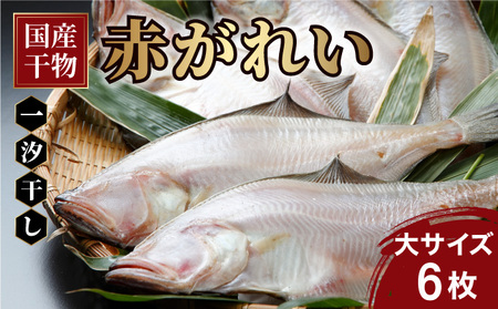 [007-a007]干物 赤がれい 一汐干し 大サイズ 6枚セット 