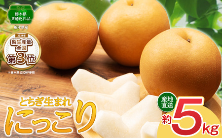 【2026年先行予約】にっこり 梨 5kg【栃木県共通返礼品】P0 栃木県 下野市