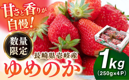 【先行予約】いちご ゆめのか 1kg [JBO138] イチゴ 苺
