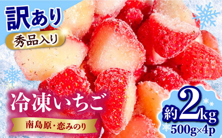【2026年3月-発送】【訳あり】【数量限定】冷凍 カットいちご「恋みのり」 加工用 約500g×4P / 冷凍 いちご イチゴ 苺 フルーツ 冷凍フルーツ ジャム / 南島原市 / あゆみfarm [SFF005]