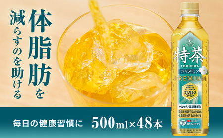 お茶 伊右衛門 特茶 ジャスミン 500ml×48本 2ケース サントリー トクホ ジャスミン茶