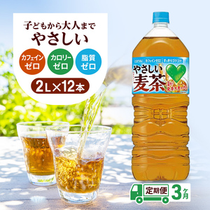 お茶 定期便 3ヶ月 GREEN DA・KA・RA やさしい麦茶 2L × 12本 2ケース 麦茶 定期 3回