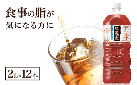 サントリー烏龍茶 OTPP 2L 12本 (6本×2箱) セット 詰め合わせ 機能性表示食品 お茶 サントリーウーロン茶 サントリー 烏龍茶 ウーロン茶 ペットボトル 中国茶 茶 脂肪を減らす 健康茶 健康 飲み物 ドリンク 飲料 神奈川 神奈川県 綾瀬市