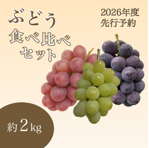 【2026年度_先行予約】【ご家庭用】ぶどう食べ比べセット 約2kg〔2026年8月中旬より順次発送〕