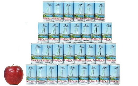 【便利な小分け】 ストレート果汁りんごジュース 195ml×30本 大容量 りんごジュース