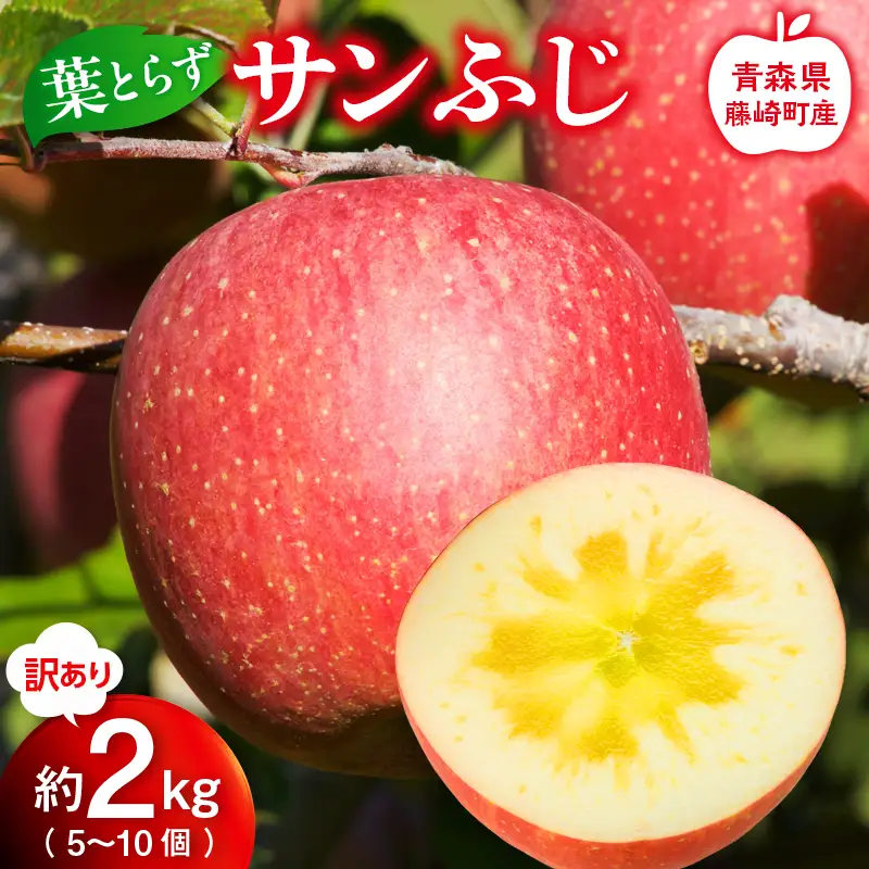 【先行予約】産地直送 葉とらず サンふじ 訳あり 約2kg（5～10個） りんご リンゴ 林檎 F41-0021