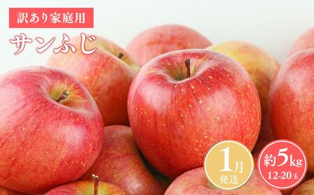 ≪令和8年産先行受付≫令和9年1月発送! 訳あり 家庭用サンふじ約5kg【青森県平川市産・青森りんご】【青森県 平川市 山内ファーム】家庭用 平川市産 青森りんご りんご リンゴ 林檎 ふじ 訳あり 家庭用 お取り寄せ 先行予約 果物 くだもの フルーツ［hi-0038-003-1］  