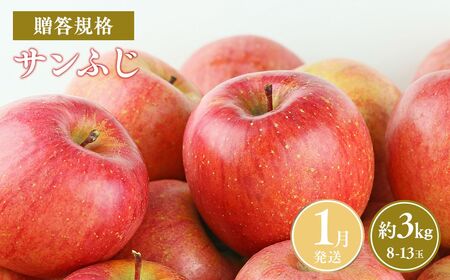 【レビューキャンペーン】≪令和8年産先行受付≫令和9年1月発送! 贈答規格サンふじ約3kg  青森県平川市産[hi-0038-007-1]