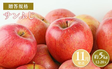 【レビューキャンペーン】≪令和8年産先行受付≫11月発送! 贈答用規格サンふじ約5kg 青森県平川市産[hi-0038-009-11]