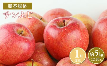 ≪令和8年産先行受付≫令和9年1月発送! 贈答規格サンふじ約5kg【青森県平川市産・青森りんご】【青森県 平川市 山内ファーム】 平川市産 青森りんご りんご リンゴ 林檎 ふじ 贈答 贈答品 お取り寄せ 先行予約 果物 くだもの フルーツ ［hi-0038-009-1］ 