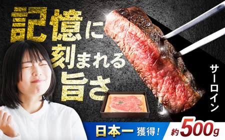 【お中元対応可】長崎和牛 サーロインステーキ 500g(250g×2) / 牛肉 ぎゅうにく 和牛 国産牛 肉 にく ステーキ すてーき サーロイン / 諫早市 / 肉の牛長 諫早店 [AHEM001]