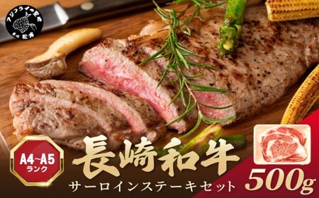 【A4～A5】長崎和牛サーロインステーキセット 500g(250ｇ×2枚)( 肉 牛肉 牛 長崎和牛 国産牛 サーロイン ステーキ ステーキ肉 お取り寄せ プレゼント ギフト 送料無料 人気 美味しい 返礼品 おすすめ )【B6-047】
