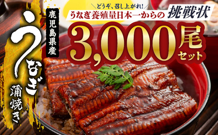 【 土用の丑の日特集 】 2626 どうぞ、召し上がれ！うなぎ養殖量日本一からの挑戦状！【うなぎ蒲焼き3000尾】 KN058-002-3000 魚 鰻