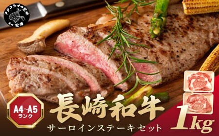 【A4～A5】長崎和牛サーロインステーキセット 1kg(250ｇ×4枚)( 肉 牛肉 牛 長崎和牛 国産牛 サーロイン ステーキ ステーキ肉 お取り寄せ プレゼント ギフト 送料無料 人気 美味しい 返礼品 おすすめ )【D0-046】
