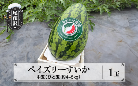 スイカ ペイズリーすいか 約4~5kg×1玉 令和8年産 an-supsx1