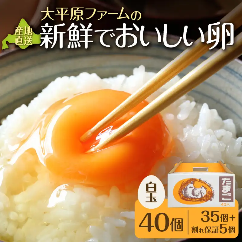 おいしいたまご 【大平原ファーム】 計40個 _S035-0001
