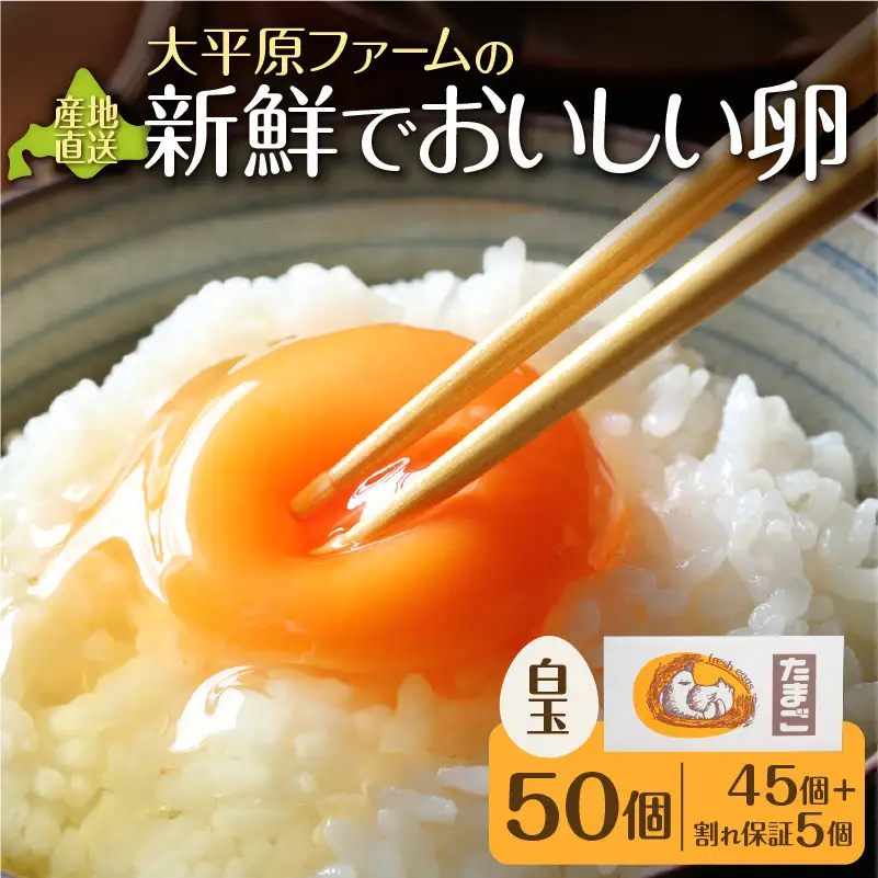 おいしい卵  計50個 (白卵) 北海道 清水 こだわりたまご 新鮮タマゴ_S035-0002