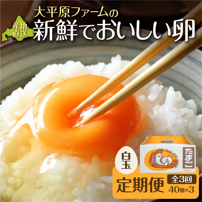 【3回定期便】大平原ファームの新鮮でおいしい卵 計40個(白卵)×3ヶ月【 北海道 清水 卵 120個 こだわり卵 卵かけご飯 玉子 タマゴ 卵焼き TKG 温泉卵 オムレツ ゆでたまご 栄養満点  国産 定期便 】_S035-0003