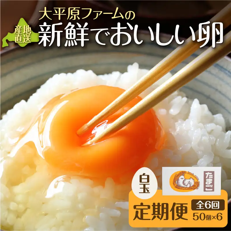 【6回定期便】大平原ファームの新鮮でおいしい卵 計50個(白卵)×6ヶ月【 北海道 清水 卵 300個 こだわり卵 卵かけご飯 玉子 タマゴ 卵焼き TKG 温泉卵 オムレツ ゆでたまご 栄養満点  国産 定期便 】_S035-0007