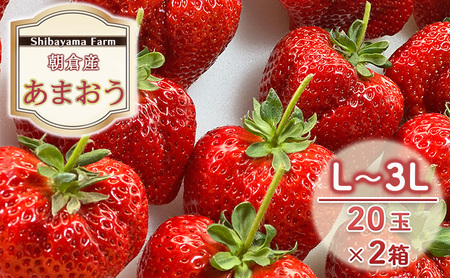 いちご 朝倉市産 あまおう L～3L 20玉×2箱 イチゴ 苺 果物 デザート ＜しばやま農園＞ ※配送不可：離島 