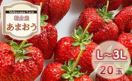 いちご 朝倉市産 あまおう L～3L 20玉 イチゴ 苺 果物 デザート ＜しばやま農園＞ ※配送不可：離島 