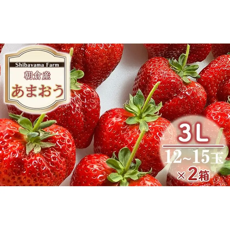 いちご 朝倉市産 あまおう 3L 12～15玉×2箱 イチゴ 苺 果物 デザート ＜しばやま農園＞ ※配送不可：離島 