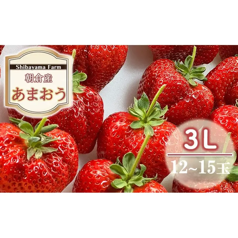 いちご 朝倉市産 あまおう 3L 12～15玉 イチゴ 苺 果物 デザート ＜しばやま農園＞ ※配送不可：離島 