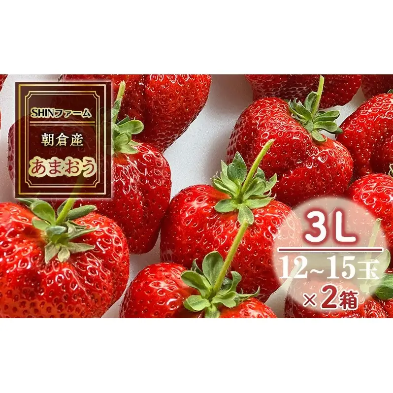 いちご 朝倉市産 あまおう 3L 12～15玉×2箱 イチゴ 苺 果物 デザート ＜SHINファーム＞ ※配送不可：離島 
