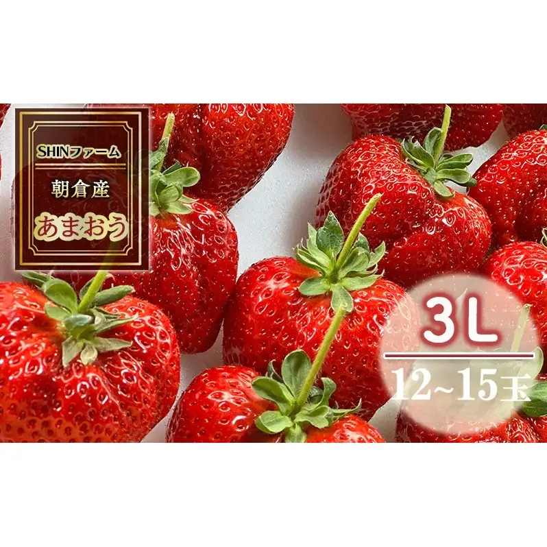 いちご 朝倉市産 あまおう 3L 12～15玉 イチゴ 苺 果物 デザート ＜SHINファーム＞ ※配送不可：離島 
