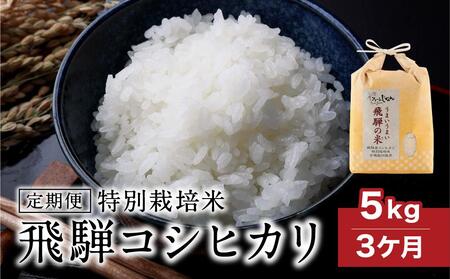 【定期便 3ヶ月】（全3回）令和7年産 特別栽培米 飛騨コシヒカリ 「うまいうまい飛騨の米」5kg | 白米 お米 節減農薬米 のし対応 飛騨高山 ファームジネンいいむら GG100