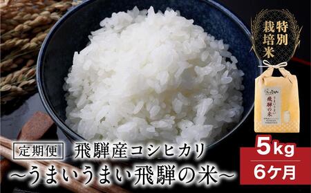 【定期便 6ヶ月】（全6回）令和7年産 特別栽培米 飛騨産コシヒカリ「うまいうまい飛騨の米」5kg | 白米 お米 節減農薬米 のし対応 飛騨高山 ファームジネンいいむら GG101