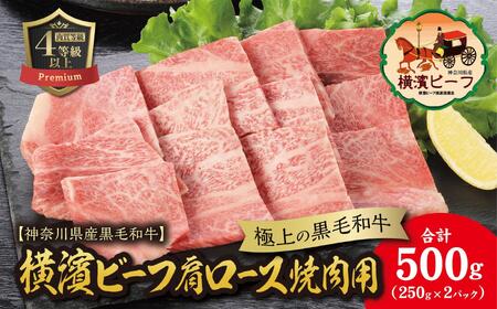 【神奈川県産黒毛和牛】かながわブランド認定　極上の黒毛和牛　横濱ビーフ　肩ロース焼肉用（手切り）　250g×2 AKS0006