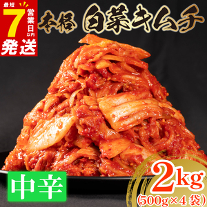 【 旨辛 】 白菜 キムチ 中辛 2kg  500g×4 小分け キムチ 本格 冷蔵 手作り かわち屋